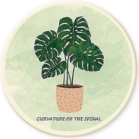 Absorptionsfähige Diatomit-Untersetzer, Wärmedämmstoffe und Absorber, Nordic Plants 05 (1/5)