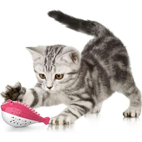 Jouet Dentaire Chat, Jouet pour Chat Jouet Molaire en SiliCône à Macher Jouet Chaton Cataire Brosse à Dents Forme de Poisson Jouet Interactif Hygiène Dentaire Chat(Rose)-Fei Yu (1/5)