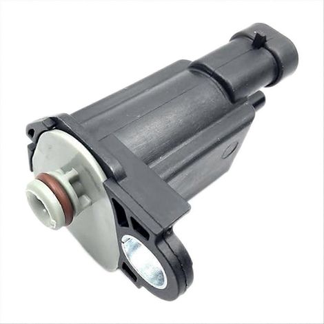 Électrovanne de purge du canister à vapeurs EVAP pour (1/5)