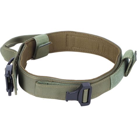 Hundehalsband aus Nylon, Trainings- und Jagdhalsband mit Stahlschnalle, Haustierzubehör, Grün (1/5)