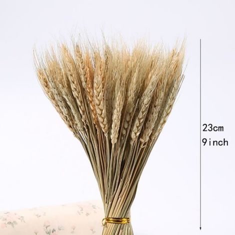 Epi De Ble - Naturel Seche - Decoration Mariage Noel Interieur - 50 Pieces - 23 Cm (1/4)