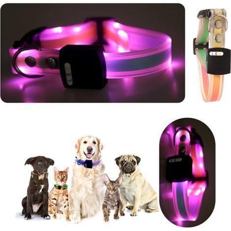 Collier LED lumineux pour animaux de compagnie (1/4)