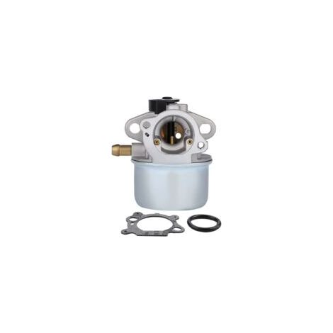 Carburador compatible con motores Briggs & Stratton 799868 498170 497586 498254 497314