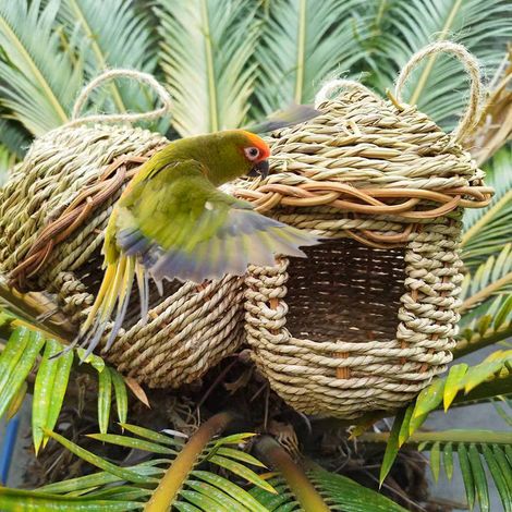 Hot-selling item: Handmade woven bird nest, straw birdcage, pet supplies, garden landscape bird nest (1/5)