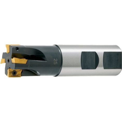 Fresa de ángulo D 30 x 95mm Z 4 para APKT10