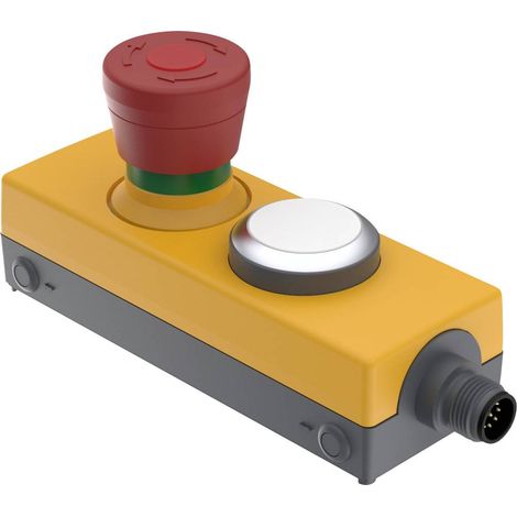 RAFI 1.22.114.392/0200 DT091 Bouton-poussoir 24 V 0.5 A à rappel (L x l x H) 123.2 x 40 x 60.2 mm 1