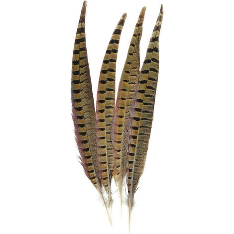 Plumes de faisan à collier Touch of Nature, lot de 4, naturelles (voir photo) (1/2)
