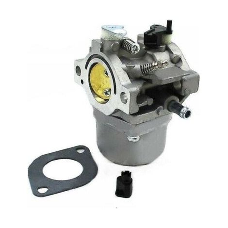 Carburateur pour moteur Briggs & Stratton 12,5 ch 799728 (1/5)