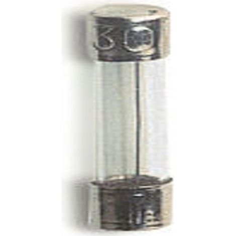 Fusibili Intervento Rapido 5X20 F 100Ma (Wimex Cod. 5000002)