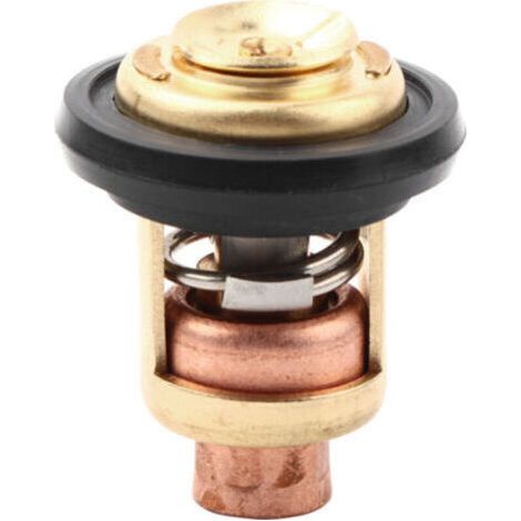 Remplacement du thermostat 19300-ZV5-043 pour HONDA HORS-BORD 50 75 90 115 130 HP 72°C (1/4)