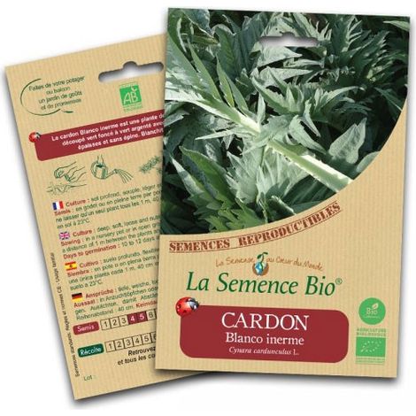 La semence Bio - Carbon blanco inerme
