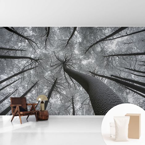 Tapete Tapete Vliestapete mit Kleber - Fototapete mit Motiv - Wandtapete modern - Wanddeko Winterlandschaft 416x254 cm (1/5)
