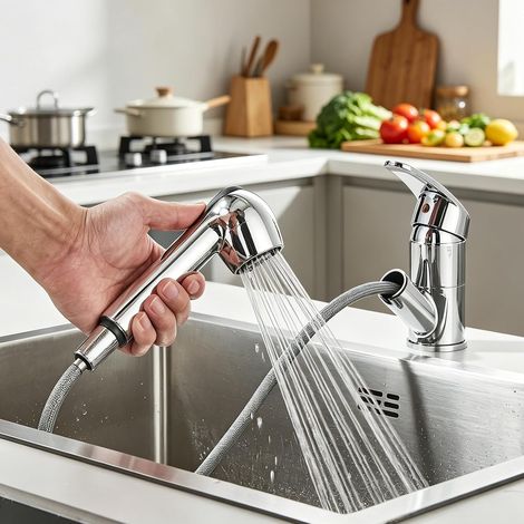 Rubinetto da cucina con doccetta estraibile e leva singola, girevole a 360° per lavello da cucina, 1 foro, 2 getti, acciaio inox cromato. (1/4)