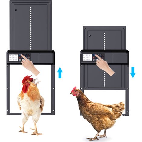 Porte automatique de poulailler avec minuterie en alliage d'aluminium IP45 affichage LED étanche ouvre-porte automatique de poulet alimenté par batterie pour la ferme (1/3)
