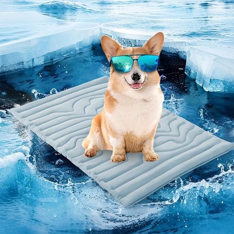 Tappetino rinfrescante per cani - Portatile - 122x71cm - Cuccia estiva per cani - Antiscivolo - Lavabile - Blu - L (1/5)