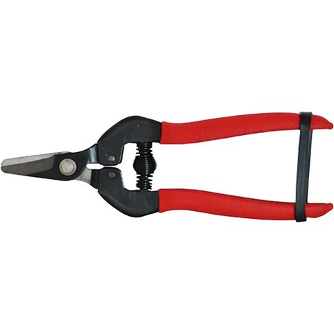 1BL FORBICI COGLIUVA cm 16 - pz. 1