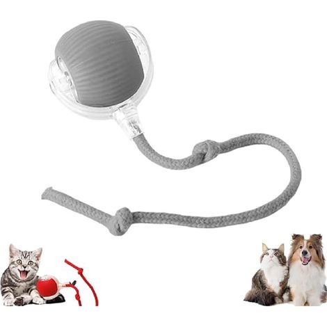 Balle interactive automatique à 360° pour chats et chiens (1/5)
