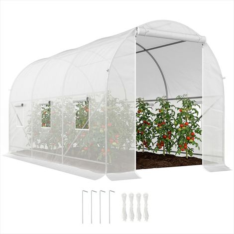 Serre de jardin Serre tunnel de jardin 7m² avec 6 fenêtres (1/5)