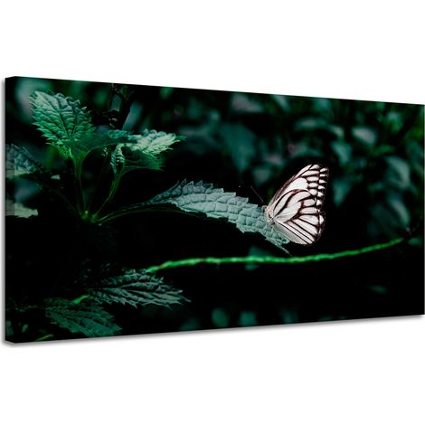 Leinwanddruck Natur Schmetterling auf einem Blatt 120x60