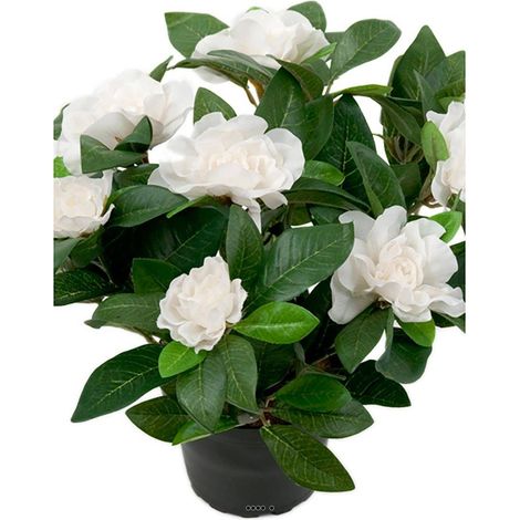 Gardenia Plante fleurie artificielle 8 fleurs H 25 cm en pot