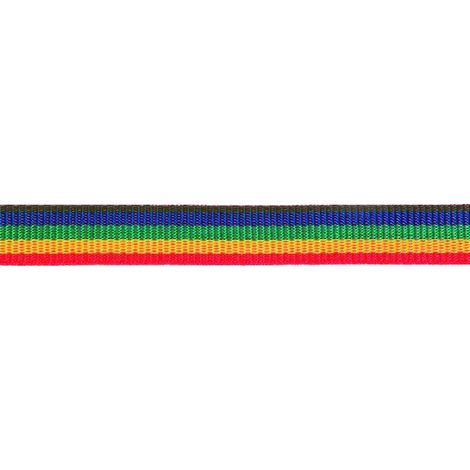 PÖSAMO Gurtband mehrfarbig 25,0mm Ro.100m (250x110) 100 Stk (1/3)