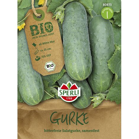 Sperli Salatgurke Marketmore Samen - 1 Portion (1/2)