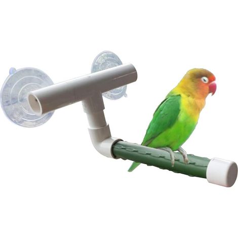 Support pour perroquet, perchoir de douche, jouet portable à ventouse, accessoires de baignoire, plateforme pour perruche.-AquaForge (1/5)
