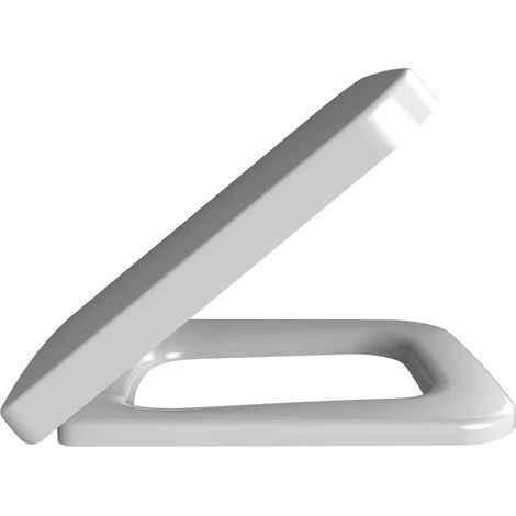 Architectura, Sedili WC, cerniere in acciaio inox, In Duroplast Bianco (1/2)