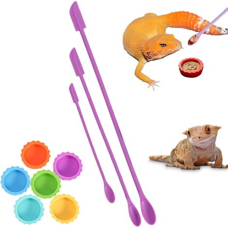 Gamelle Nourriture Gecko 9 Pièces Petit Bol Réutilisable En Silicone Avec (1/5)