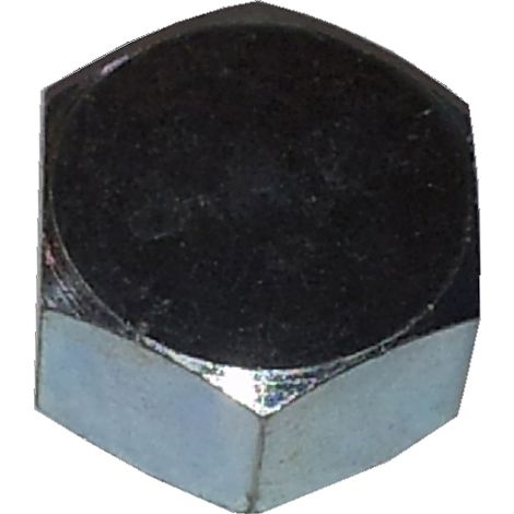 IDRAULICA-CALOTTA FEMMINA 300 D 1- 5,0 pz