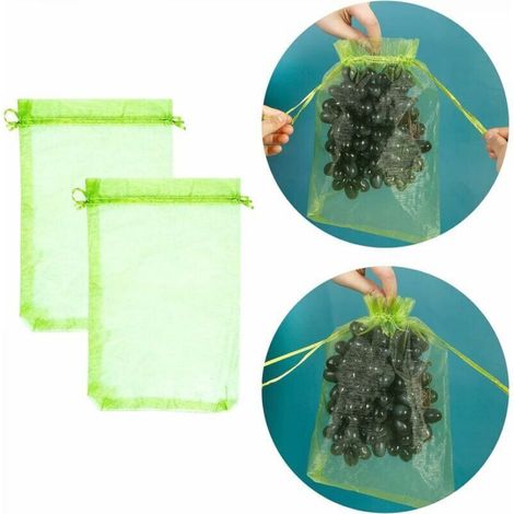 100 pièces Sac de protection de Grappes de Raisin, taille: 30 x 20 cm, couleur: vert, avec cordon, donne protection totale contre les guêpes, les oiseaux, Matériau: Organza (1/5)