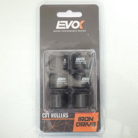 Variomatik-Rolle EVOK für Roller Piaggio 50 ZIP 2T AC 2009 bis (1/4)