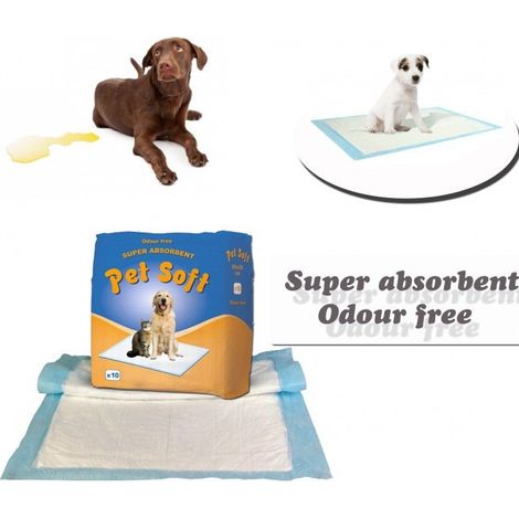 Trade Shop - X 10 Traverse super absorbierende Teppich Hunde fangen Gerüche Tierbedarf - (1/4)