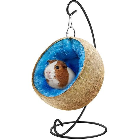 Lit pour cobaye. cachette pour hamster. accessoires pour cobayes. jouets pour cobayes. grande maison-lit en noix de coco avec coussin chaud. cachette pour lapin. (1/5)