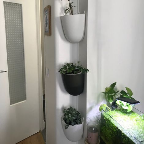 Pot de Fleurs Murale en Coin Auto-Irrigante Plastique ABS PP 20cm 90° Design inclus vis invisibles 2 (1/5)