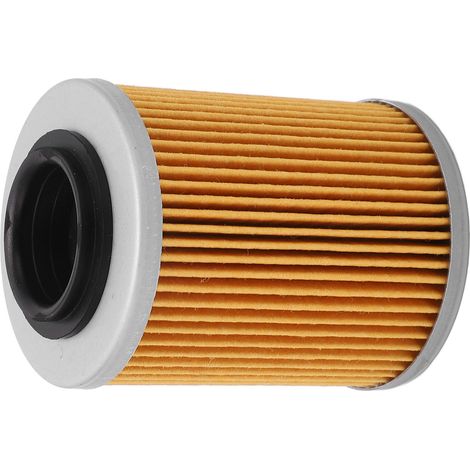 Filtre à huile moteur cylindrique, filtre à carburant de remplacement pour RYKER Ally Edition 900 ACE (1/5)