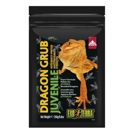 Exo Terra Dragon Grub Juvenil, 250g