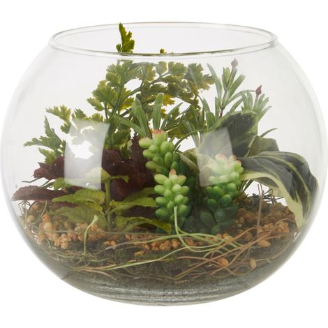 Premier Housewares Fiori Large Glass Pot Mixed Succulent (1/5)