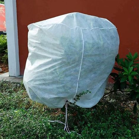 Voile D'hivernage,Voile Hivernage Plante Exterieur 200x240cm,Housse Hivernage Plante Exterieur avec Cordon de Serrage à Glissière,Housses de Protection pour Plantes (1/3)