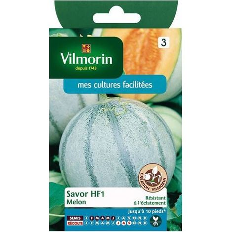 Sachet graines Melon Savor HF1