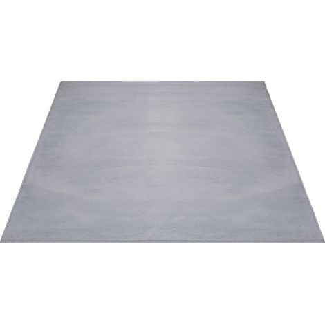 FLOORNOVO Hochflor Teppich Grau einfarbig - 340 x 240 cm - Besonders Weicher Teppich Wohnzimmer & Badezimmerteppich - Pflegeleicht - vielseitig einsetzbar im Innenbereich (1/2)