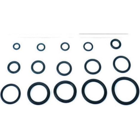 O-RING 5,70X1,90 P/FLESSIBILE MISCELATORE PZ.100