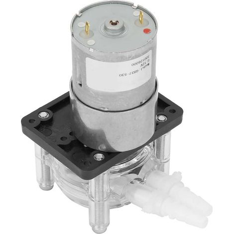Pompe dosatrice péristaltique à grand débit vide forte aspiration moteur 12V CC (1/5)