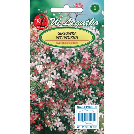 Legutko Gypsophila miscela raffinata raccolto fresco, semi (1/2)