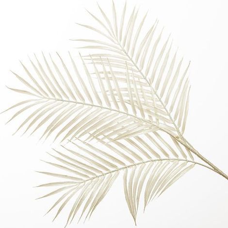 Conti Ramo Natale Palma H 86 Cm x 3 White