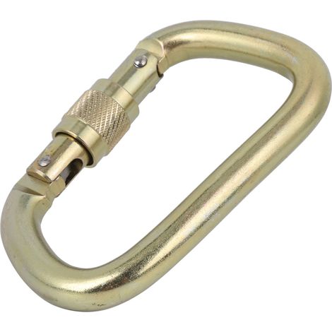 Mousqueton à vis Master Lock haute résistance en forme de D pour l'escalade et l'alpinisme (doré) (1/5)