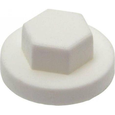 250 Capuchons  Vis D. 6.3 mm - Polyethylene - D-Work (1/5)