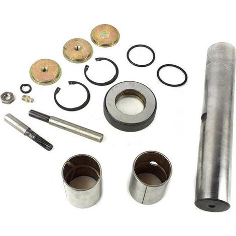 Kit de reparación de pivote Renault serie G 060404252108, 2569401, 5000794319 (1/4)