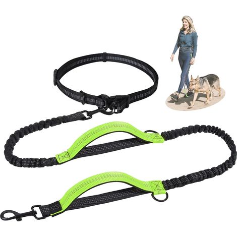 Laisse de Jogging pour Chien de Taille Moyenne et Grande, Élastique et Réfléchissante, Laisse Rétractable avec Double Poignée et Ceinture de Taille (1/5)