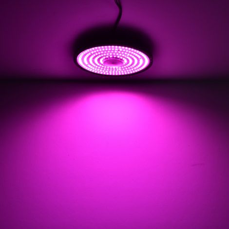 150-Watt-Vollspektrum-LED-Pflanzenwachstumslampe für Zimmerpflanzen, Sukkulenten, Kräuter und Blumen – rotes und blaues Licht zur Optimierung der Photosynthese